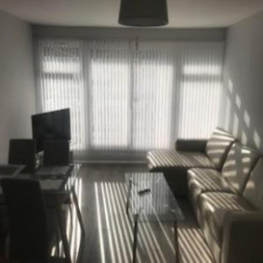 Modern 2 Bed Apt. 5 Mins to Common Wealth Games